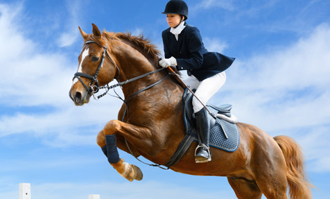 horse insurance quotes. Equine Liability Insurance. Our personal and commercial equine liability 