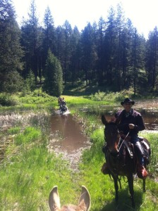 Amazing Horse Ride through the mountains.