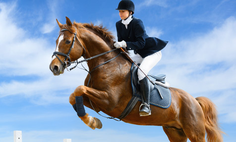 Equine Insurance Quotes - Horse Insurance - Equine Liability, Mortality